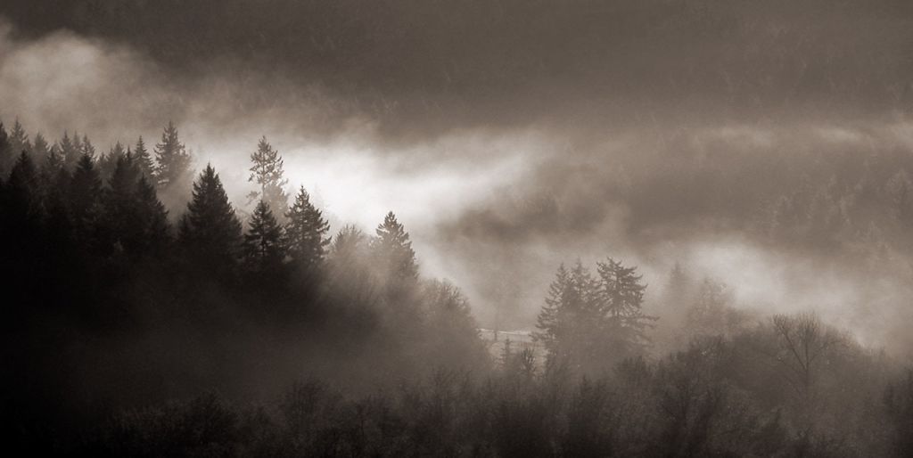 Soap Creek Valley, Oregon