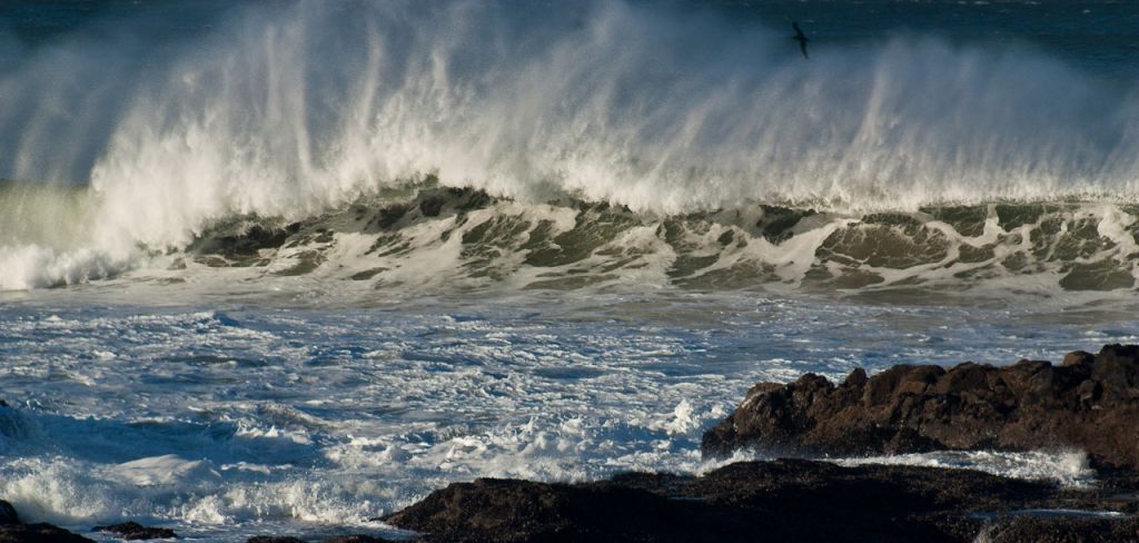 Oregon Coast